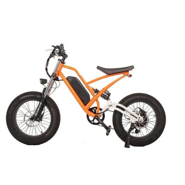 DOMANCA 2024 High Speed Dirt Bike Off-Road Electric Fat Tire E Bike with 20"4.0
