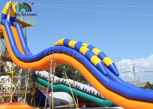 Wholesale Seahorse Plato PVC Inflatable Water Slide / Yellow Blue Giant Water Slide For Rentals from china suppliers