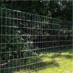 Direct Supply Stainless Steel Welded Wire Mesh Roll Galvanized Welding for