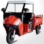 150cc Classic Tricycle 3 Wheel Motorcycle for Adult Power Engine CCC Origin For