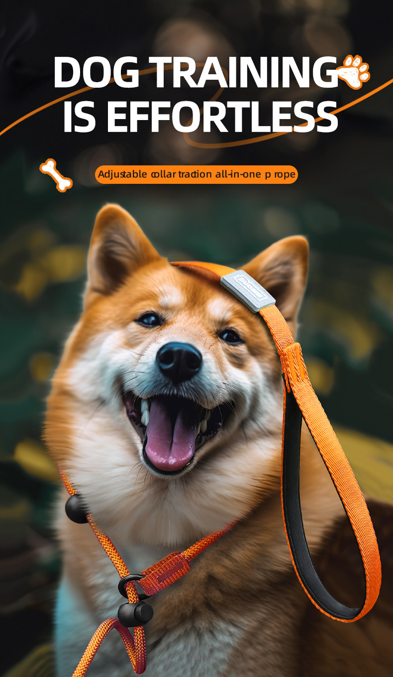 Pet Nylon P Chain Leash Dog Explosion-Proof Punch Handle Integrated Dog Walking Rope
