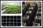 Strength Plant Growing Trays plant generation tray plastic growing trays with 32