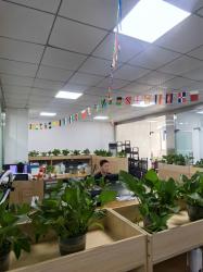 Shenzhen Googol Display Technology Co., Ltd