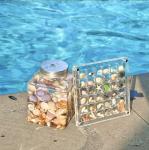 New Design Magnetic Seashell Specimen Acrylic Display Box For Jewelry Storage