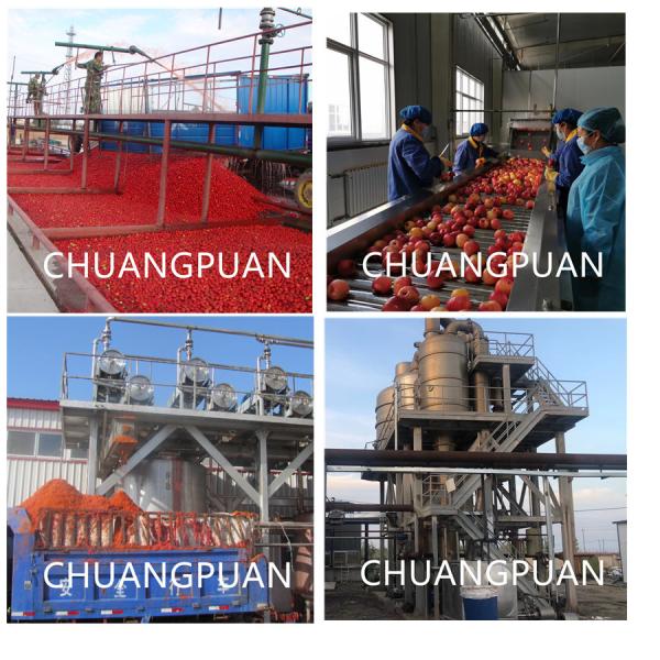 Efficiency Industrial Automatic Tomato Paste Production Line with Aseptic Bag