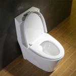 One Piece Elongated White CUPC Toilet Bowl Siphon Flush Powerful