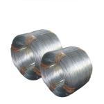 Electro Galvanized Technique Assurance Galvanized Stainless Steel Wire for