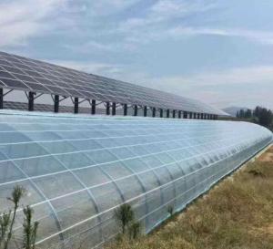 Wholesale Unheated Heating Method Wall Panel Commercial Greenhouse with Single-Arch Design from china suppliers