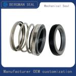 BERGMAN TYPE/T21 Inch Graphite Silicon Carbide Tungsten Carbide Nitrile Viton