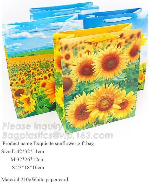 Foldable Custom Printed Gift Paper Bag Recycled Paper Bag Luxury,Promotional