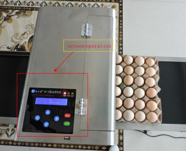 Reliable Performance Multifunctional Egg Marking Equipment , Eggs Inkjet Printer