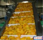 Stainless Steel Wire Mesh Belt Cooling Conveyor Net Conveyor