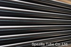 Wholesale High Purity Polished 2 stainless steel pipe 20ft Fixed Stainless Steel TP 316L from china suppliers
