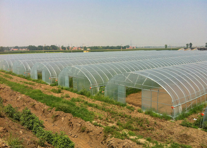 9x30m Plastic Tunnel Greenhouse Covered Plastic Film For Vegetable Growing