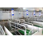 Hot Dip Galvanised Steel Structure Pig House Grade Steel Ready Made Piggery