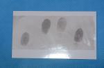 C171 White high gloss fingerprint backing sheet