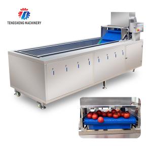 Wholesale 240KG Supply bubble cleaning machine multi-functional vegetable washing machine vegetable leaves and fruits cleaning from china suppliers