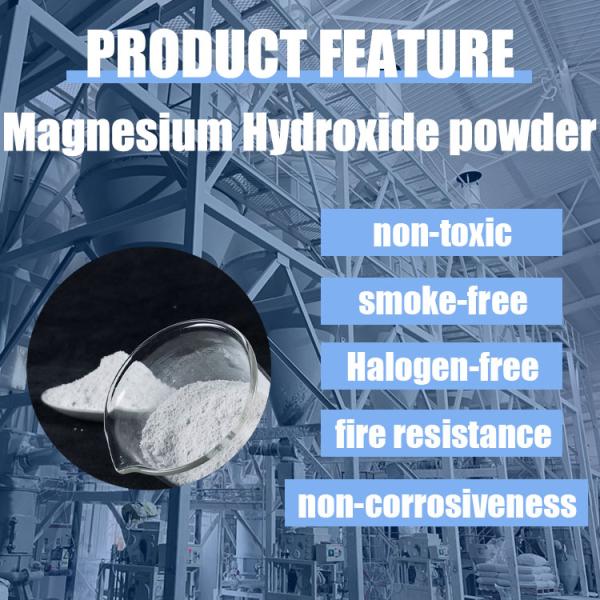 Refractory Matter Environmentally-Friendly Magnesium Hydroxide Mg(oh)2 Reach Certificate for Synthetic Rubber