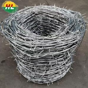Wholesale Hot Dipped Galvanised barbed wire for security defence from china suppliers