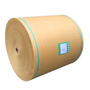 Wholesale Custom biodegradable food grade one side pe coated kraft paper roll from china suppliers
