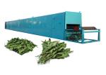 220v-450v SUS304 Plant Leaf Herb Dryer Machine Belt Conveyor Dryer