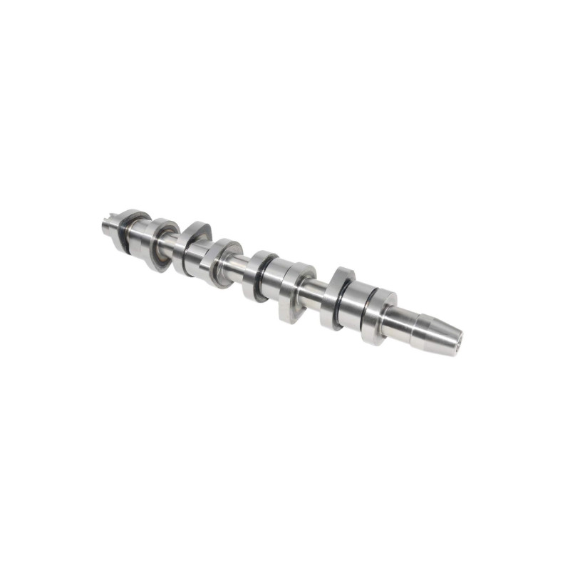 038109101R Car Engine Camshaft For VW 1.9 2.0 TDI PD FCP 50006304