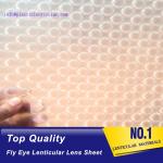 PLASTIC LENTICULAR best selling 3d fly printing film 360 fly eye sheet fly eye