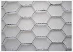 PVC Coated Width 2.0m BWG22 Diamond Wire Netting