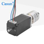 2.88V 140mN NEMA 11 Geared Stepper Motor Casun 2 Phase Step Motor
