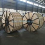 0.51mm Copper-Plated Ground Rods The Ultimate Solution for Your Customer