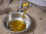 Groundnut Seed Oil Screw Oil Expeller / Peanut Oil Press Machine 400 - 750 Kg/H