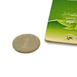 Hanging Paper Car Air Freshener with OEM & ODM Design For Car
