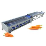 1.85KW Fruit Vegetable Processing Equipment Cucumber Carrot Sorting Machine