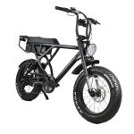 DOMANCA/ 48V 20Ah 500w/750w/1000w Full Suspension Electric Hybrid Bike Rear Hub