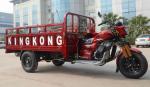 250cc Cargo Motor Tricycle 1.4x2.4m Electric Trike 5.00-12 Tyre Goods Shed