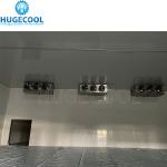 200 Kw Cooling Capacity Walk-in Freezer Fridge with PU Sandwich Panel Insulation