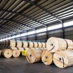 XLPE Insulated Triplex ACSR Aluminum Conductor ABC Cable for Triplex Service