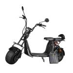 Ecorider 2 Wheel Electric Scooter 1500w EEC City Coco LED Turn Light With Fat