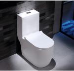 Dual Flush Washdown Siphonic One Piece Toilet Models P Trap S Trap