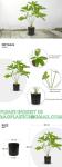 Fake Plants 16" Faux Plants Artificial Potted Plants Indoor for Home Office