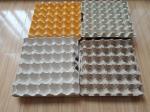 High Efficiency Paper Egg Tray Machine Production Line Controlled By Computer