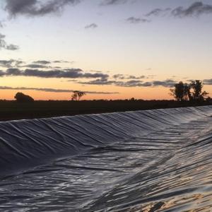 Wholesale Modern Design Smooth Geomembrane 0.5mm 1mm 2mm Fish Pond Liner Waterproof Direct Sell from china suppliers