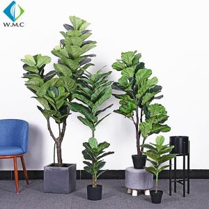 Wholesale Green Artificial Ficus Plant , Ficus Lyrata Plant For Home Decoration R020002 from china suppliers