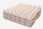 Waste Paper Egg Tray Machine Fully Automatic Single Drying Layer