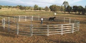 Wholesale 26 Panel Horse Yards Inc Gate, Round Yard, Cattle Fences, Corral 18m Diameter from china suppliers