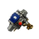 LLANO LN-AT12 Standard CNG Pressure Regulator Reducer For Car Fuel System Parts