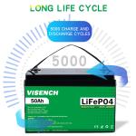 Visench Energy Storage 24V 50Ah RV Lithium Iron Phosphate Battery 24V Lifepo4