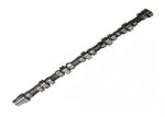 Cummins Engine Spare Parts Engine Camshaft 4059893 OEM Quality for Cummins M11