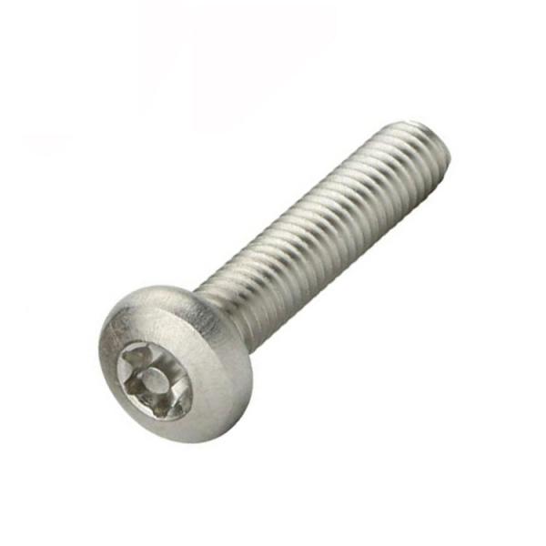 Anti Theft Screw Stainless Steel Security Torx Pin Center Head Tamper Proof Anti