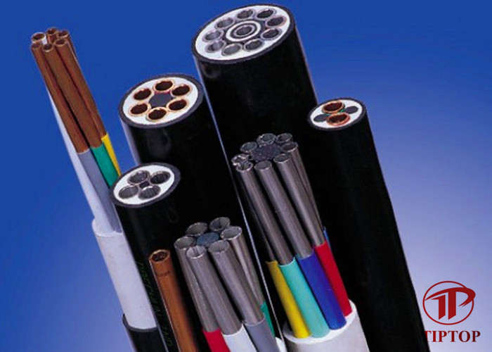 Cold Drawn 316L Multi Core Tubing For Chemical Injection